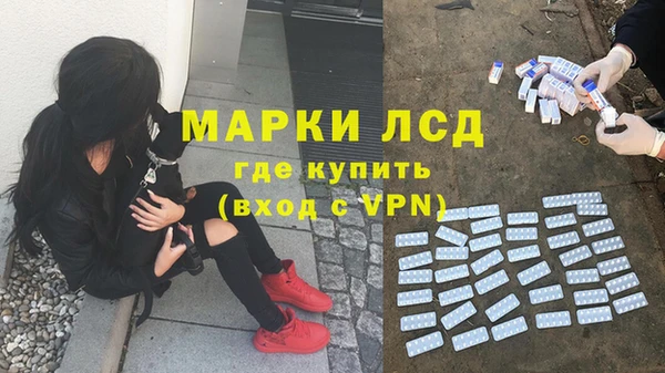 spice Армянск