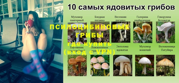 МДПВ Аркадак