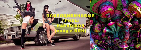 МДПВ Аркадак