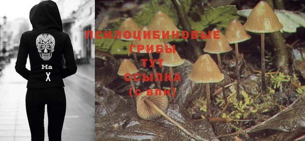 МДПВ Аркадак