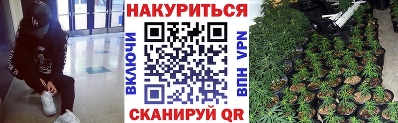 сайты даркнета Telegram  МЕГА tor  Мегион  Марихуана ГИДРОПОН 